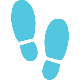 step expert